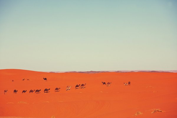 Quels sont les meilleurs circuits pour une randonnée à travers le désert de Wadi Rum en Jordanie?